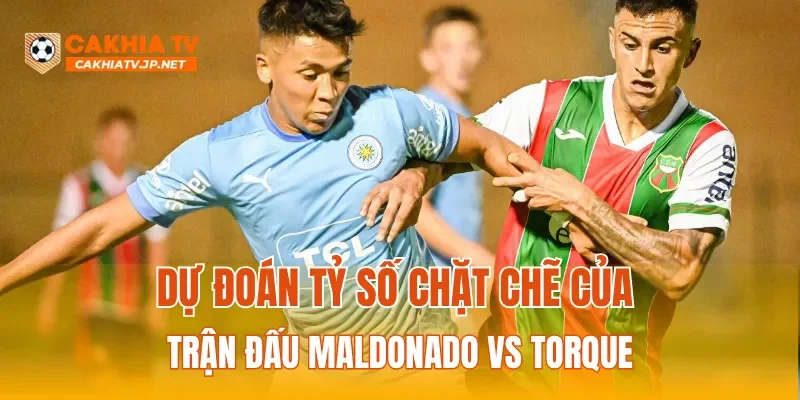 Dự đoán tỷ số chặt chẽ của trận đấu Maldonado vs Torque